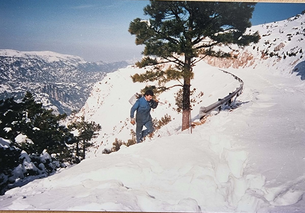 Imagen de Capitol 5 - 1990